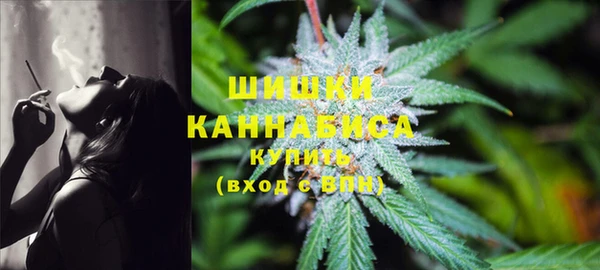 ГАЛЛЮЦИНОГЕННЫЕ ГРИБЫ Алексеевка