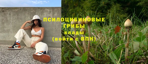 ГАЛЛЮЦИНОГЕННЫЕ ГРИБЫ Алексеевка