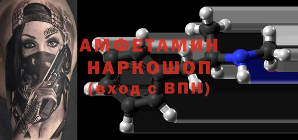 индика Алексин