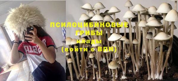 первитин Абинск