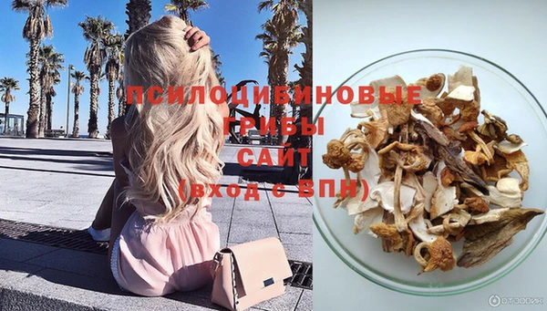 ГАЛЛЮЦИНОГЕННЫЕ ГРИБЫ Алексеевка