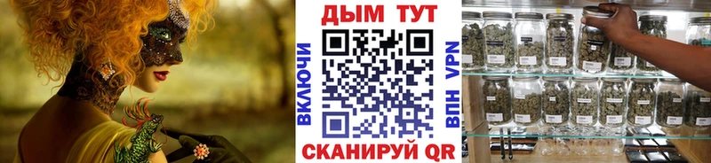 Марихуана индика  Шилка 